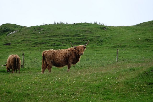 Schottland…unglaublich:-)
