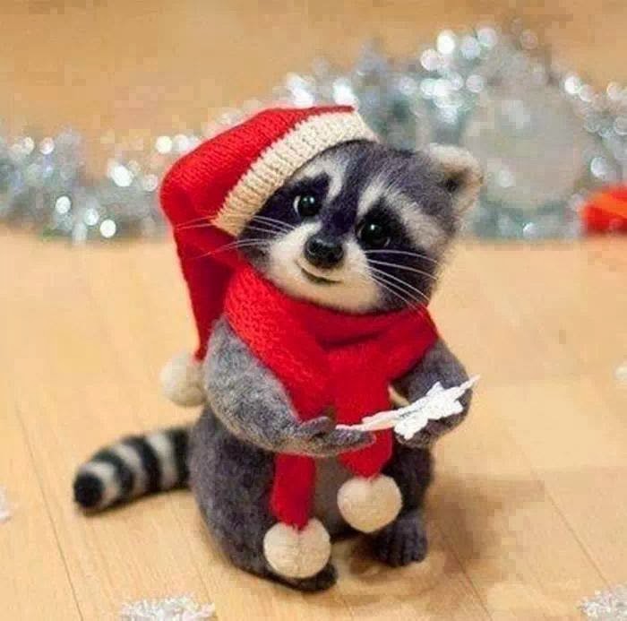 Frohe Weihnachten…:-)